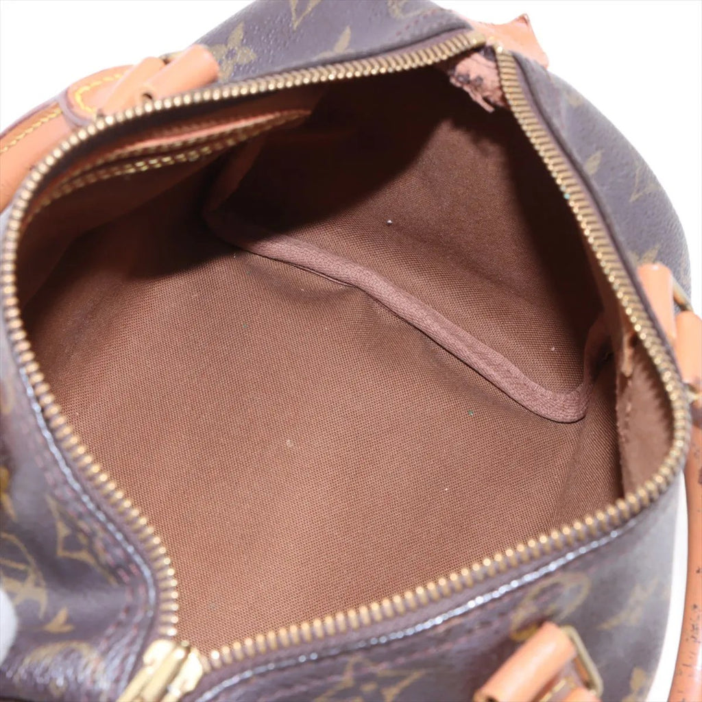 Louis Vuitton Speedy 25