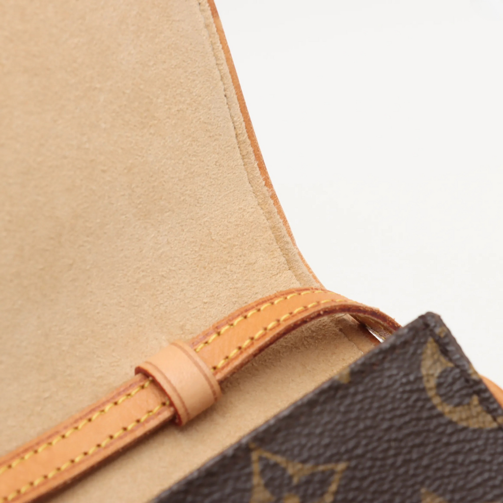 Louis Vuitton Pochette Twin GM