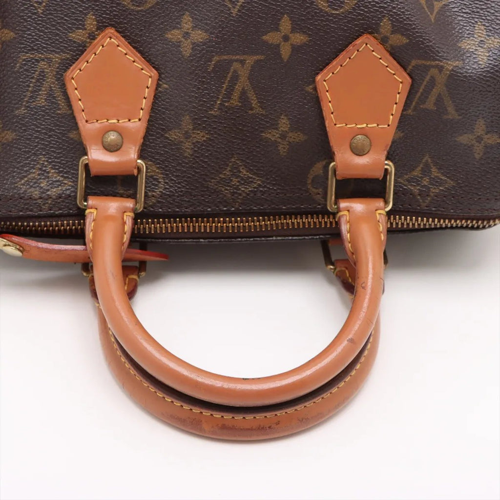 Louis Vuitton Speedy 25