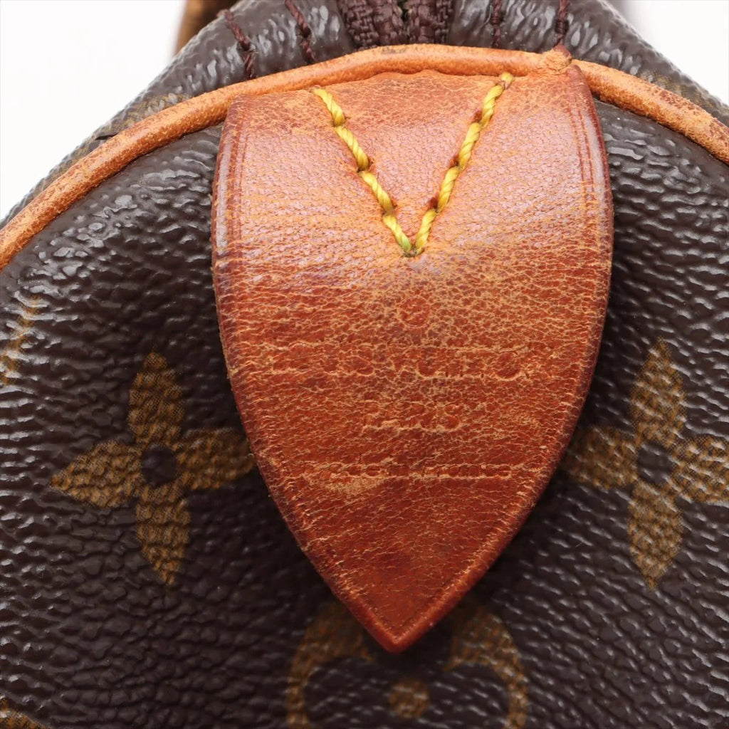 Louis Vuitton Speedy 35